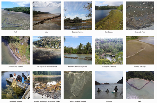 Fish Traps of the Northwest Coast — Sea Gardens Across the Pacific